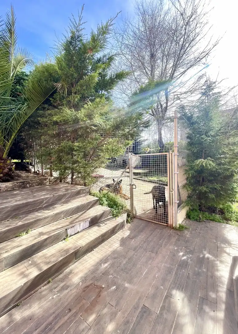 Jardí de Casa o xalet en venda en Nuevo Baztán amb Aire condicionat, Calefacció i Jardí privat