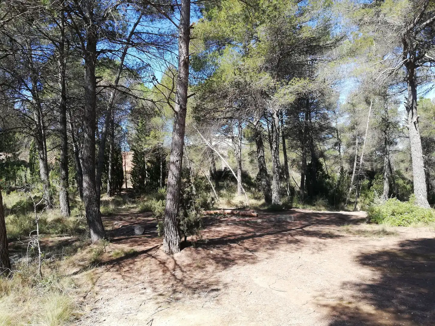 Residencial en venta en La Pobla de Claramunt