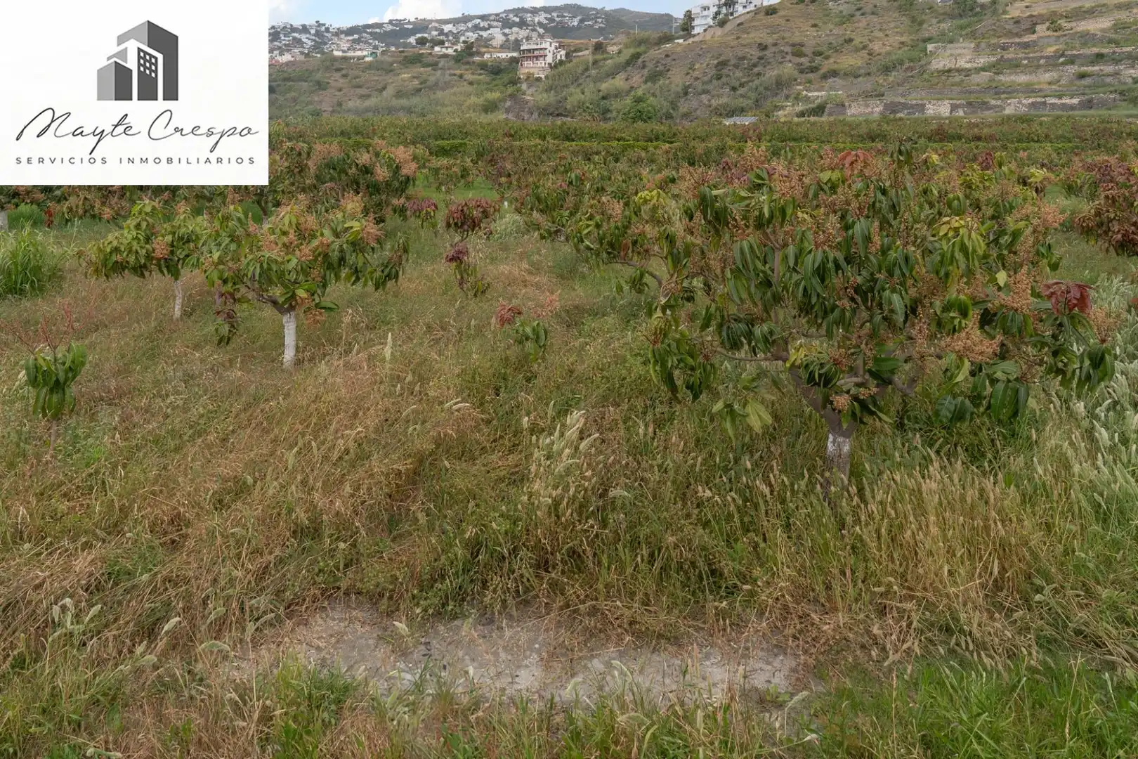 Terreni e lotti in vendita a CARRETERA MALAGA (CAL) 74, imagen 69
