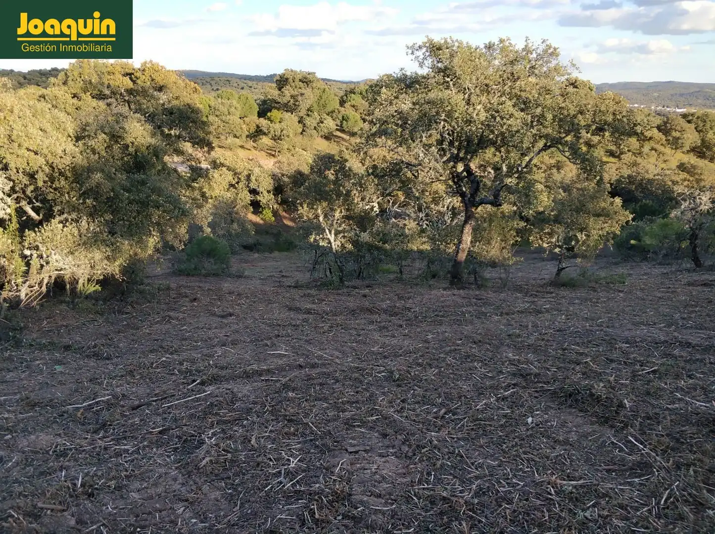 Terreno en venta en Obejo