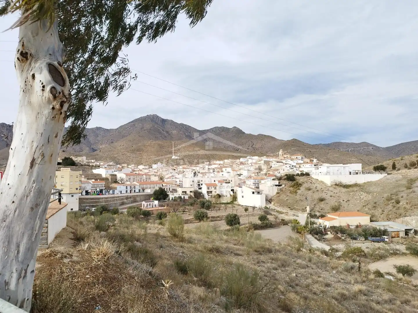 Vista exterior de Terreno en venta en Uleila del Campo