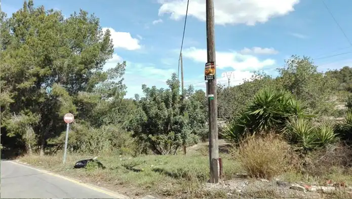 Terreno rustico in vendita a C/ Pinzón-Corral Blanc, imagen 6