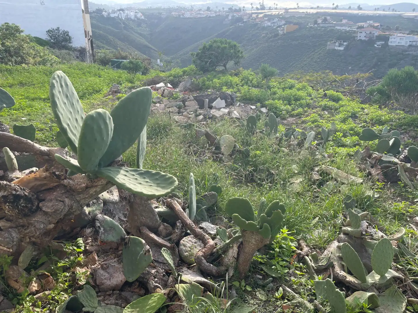 Wohnbaugrundstück zum Verkauf in Calle Lomo Quintanilla, imagen 5