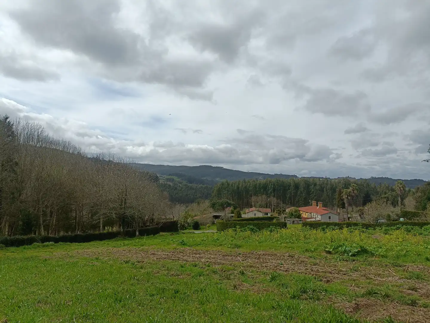 Terreni e lotti in vendita a Lugar Castelo, imagen 6