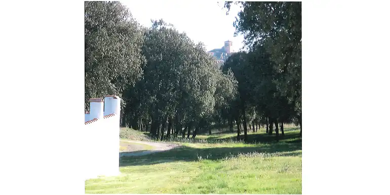Terreni e lotti in vendita a Marugán, imagen 4
