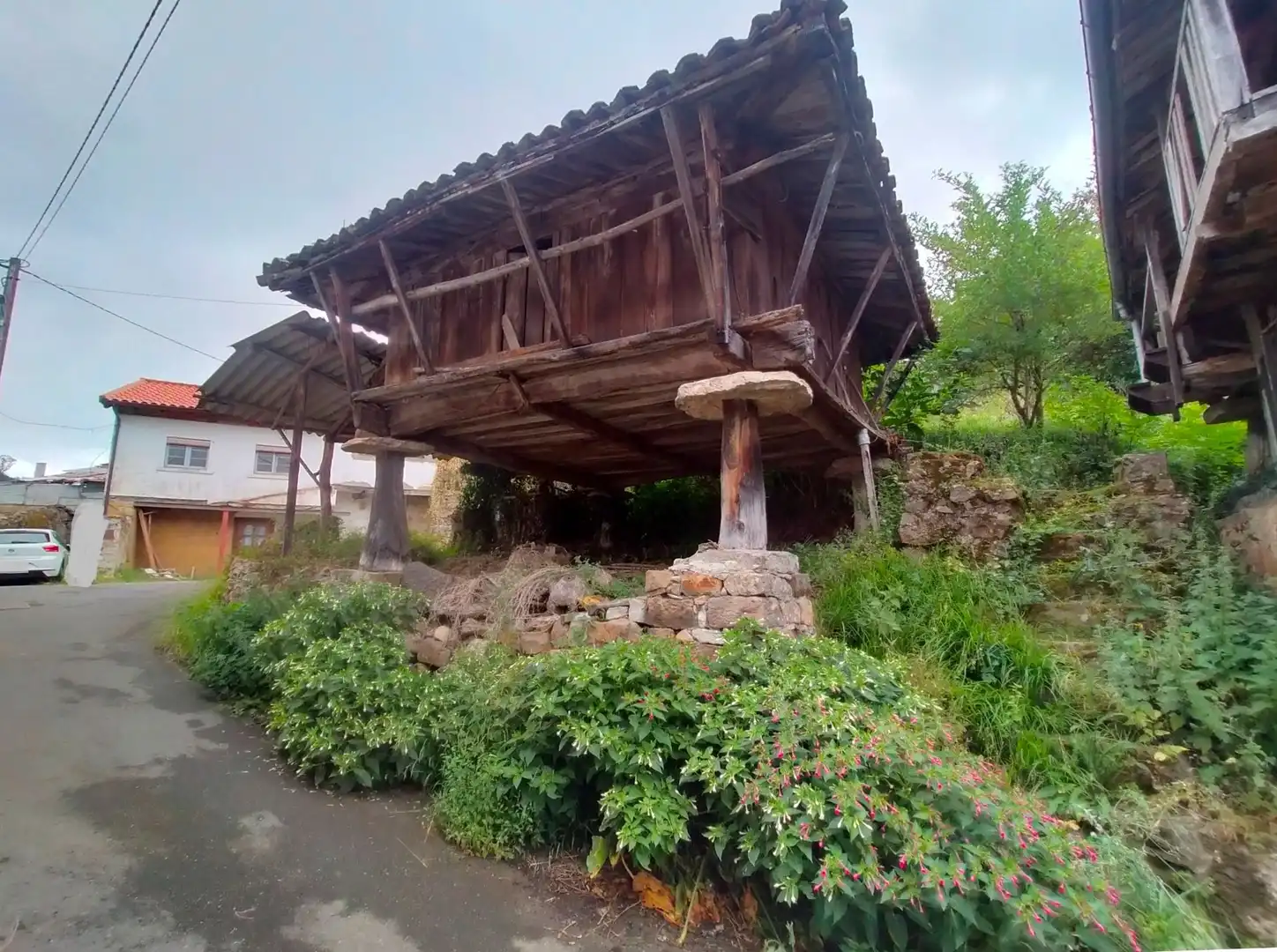 Vista exterior de Terreno en venta en Pravia