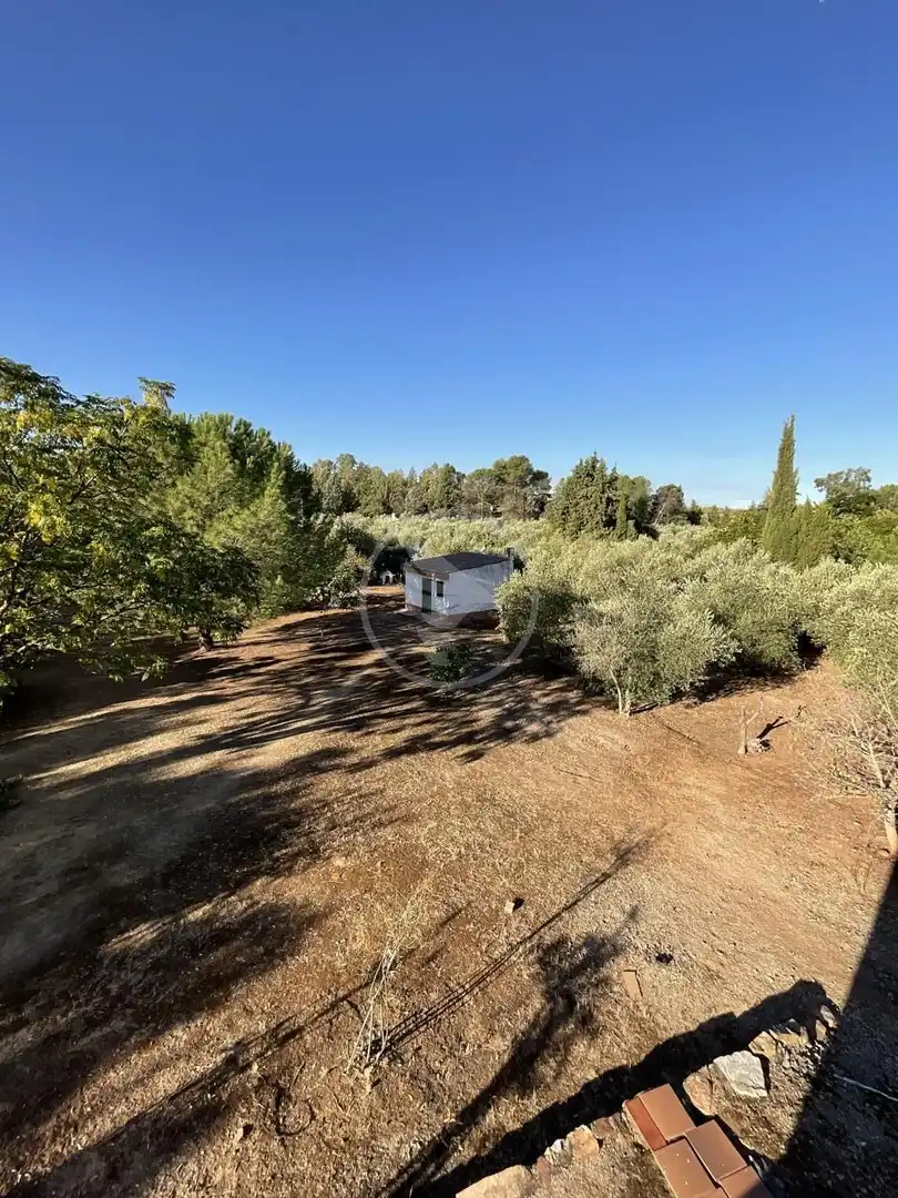 Finca rústica en venta en Linares con Piscina