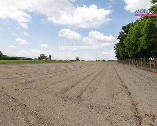Land for sale in Chauchina