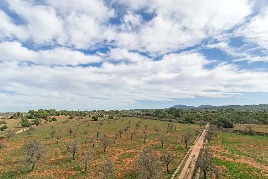 Maison rustique à vendre à Sant Joan, imagen 27