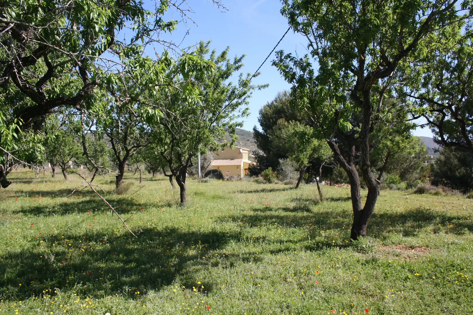 Casa en venta en Benissa pueblo, imagen 33