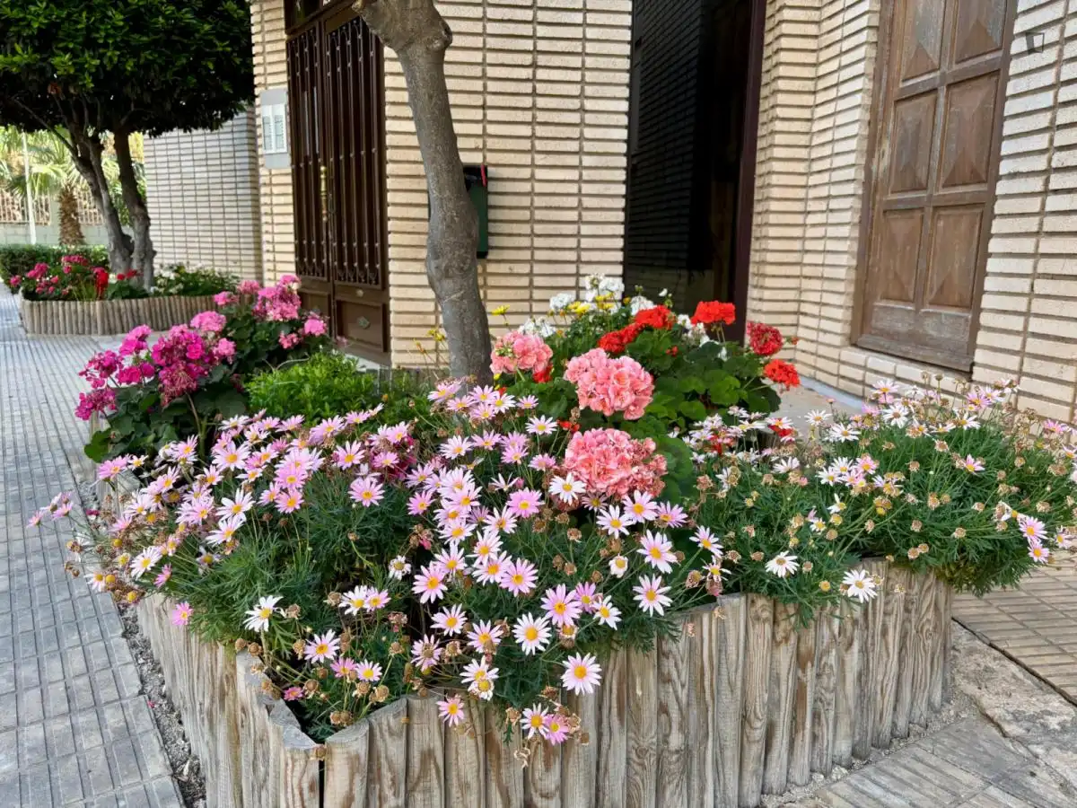 Apartments for rent in PAU 5
