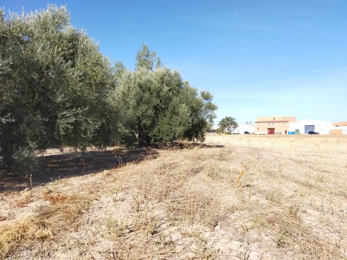 Terreni e lotti in vendita a Zona de la Vega, imagen 2