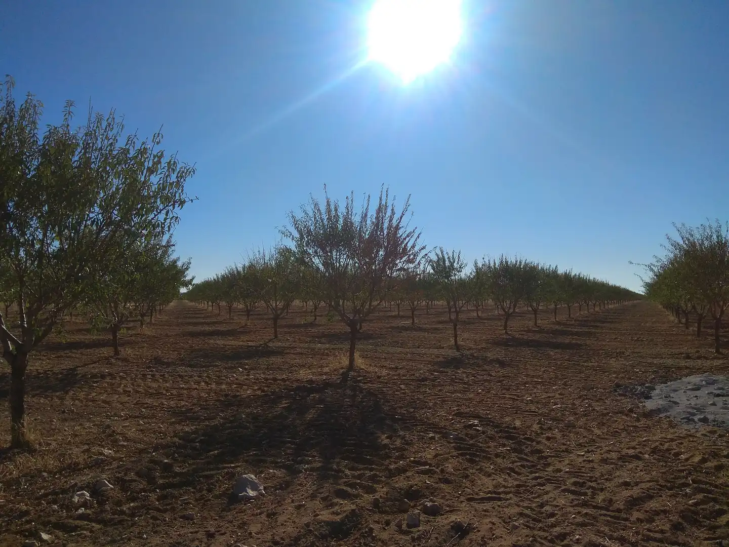 Terreni e lotti in vendita a Las Mesas, imagen 14