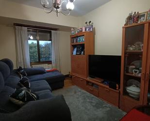 Living room of Flat for sale in Amorebieta-Etxano