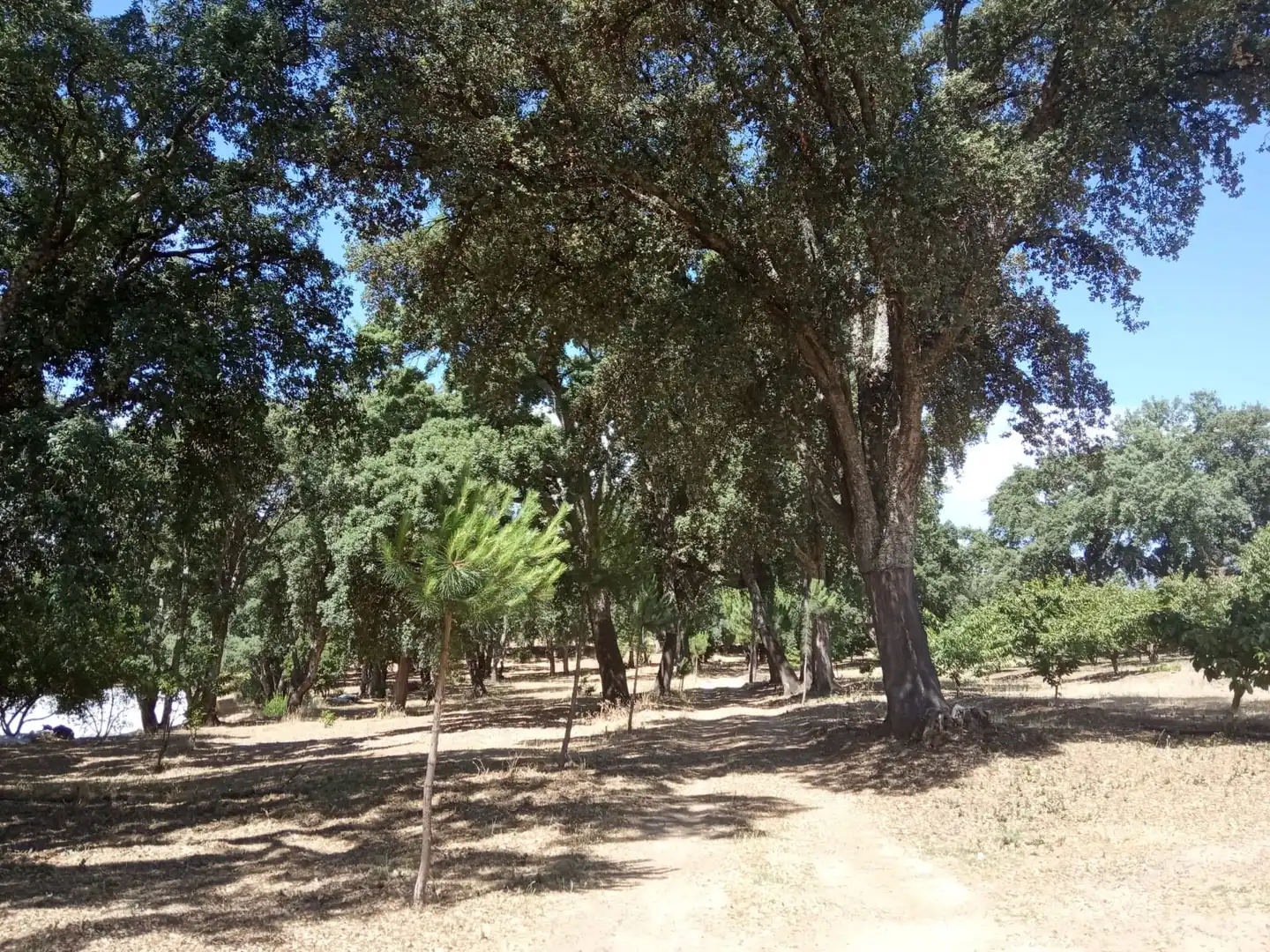 Terreni e lotti in vendita a La Cañada - Aldea Moret, imagen 10