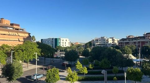 Foto 5 de Pis en venda a Avenida Avenida Cañito Bazán, Tablero Bajo - Arruzafilla, Córdoba Capital