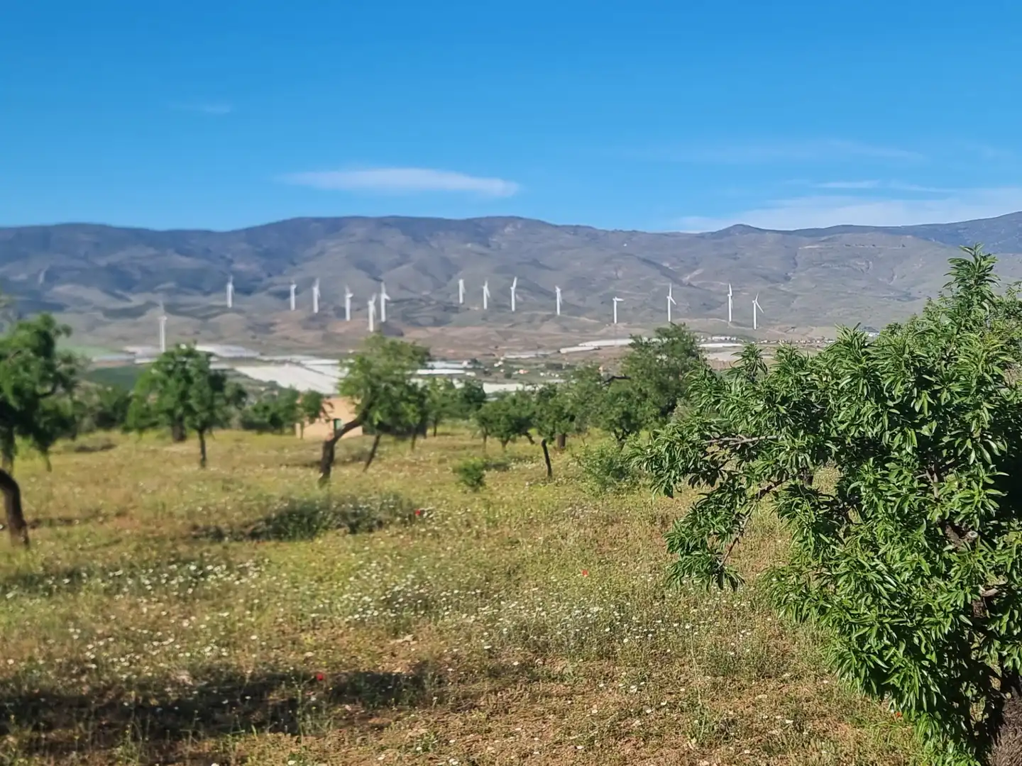 Terreno en venta en Abrucena