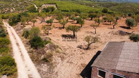 Foto 5 de Finca rústica en venda a Useras /  Les Useres, Castellón