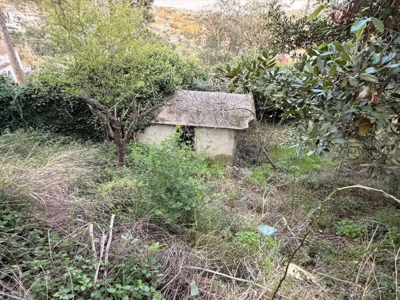 Haus mit Garten zum Verkauf in Residencial Park, imagen 12