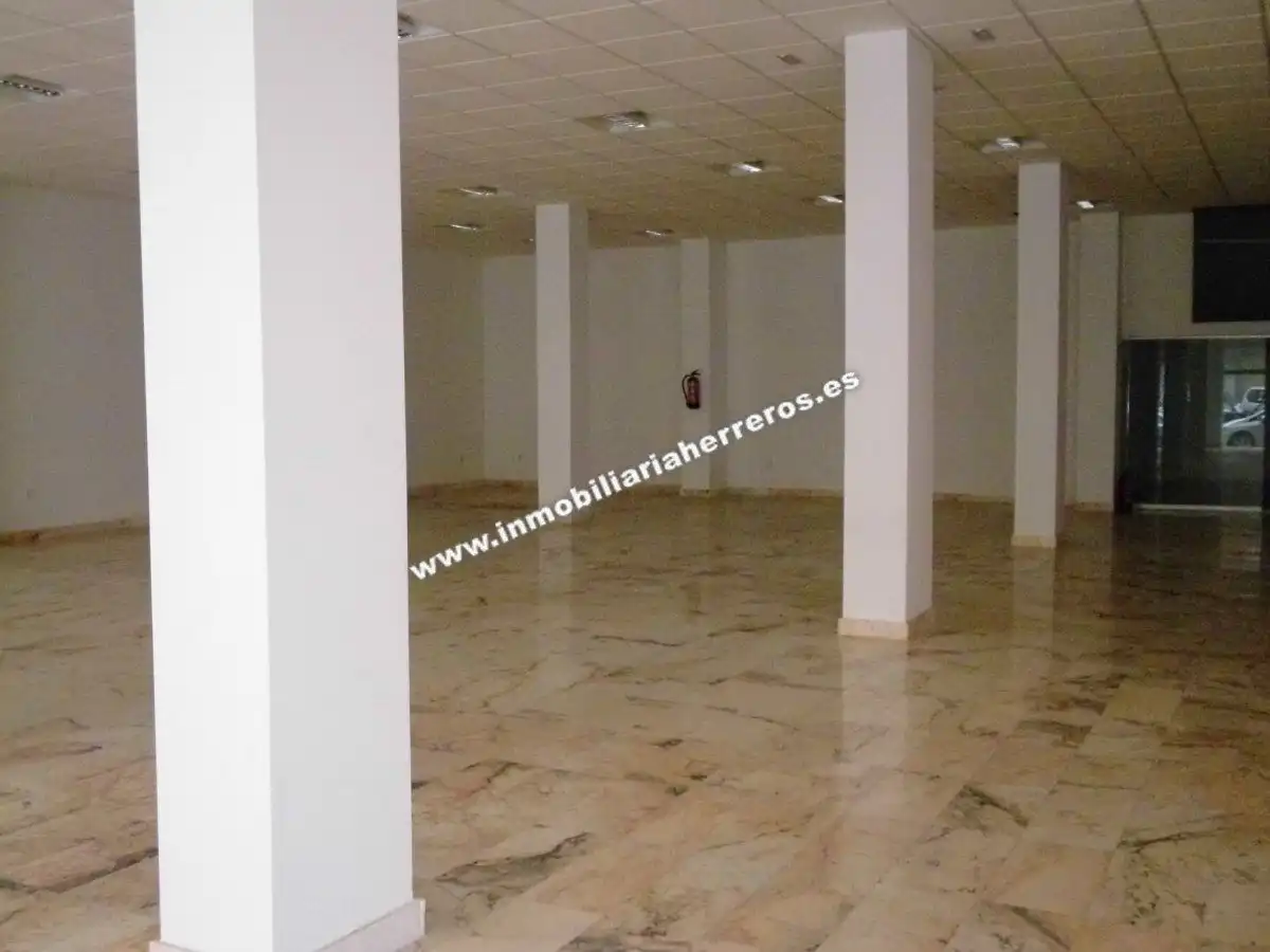 Business premises for sale in PINTOR ROSALES, imagen 4