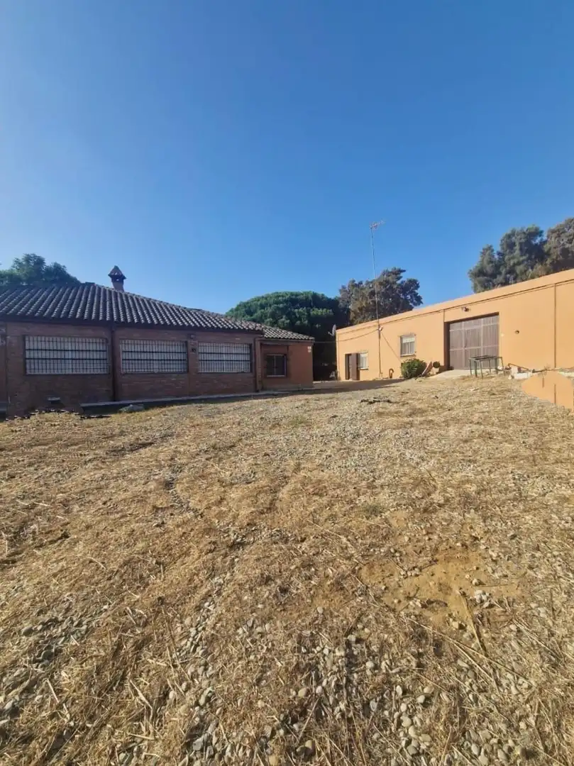 Exterior view of Houses for sale in Puerto Real