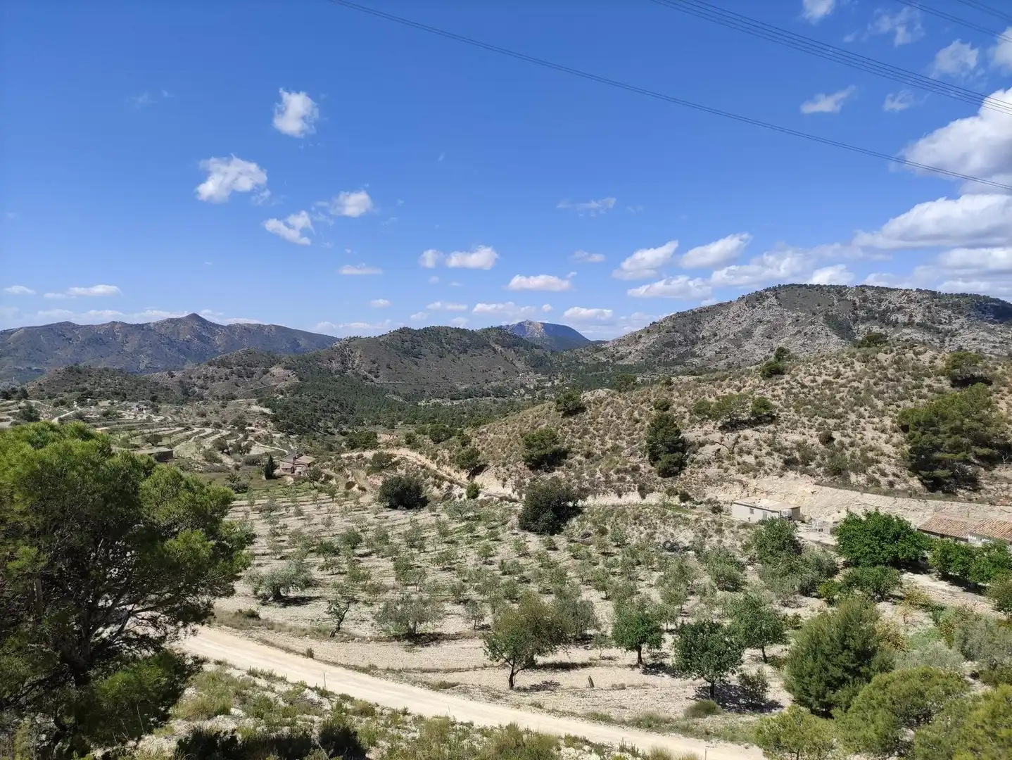 Terreny residencial en venda a Partida Castillo, imagen 5