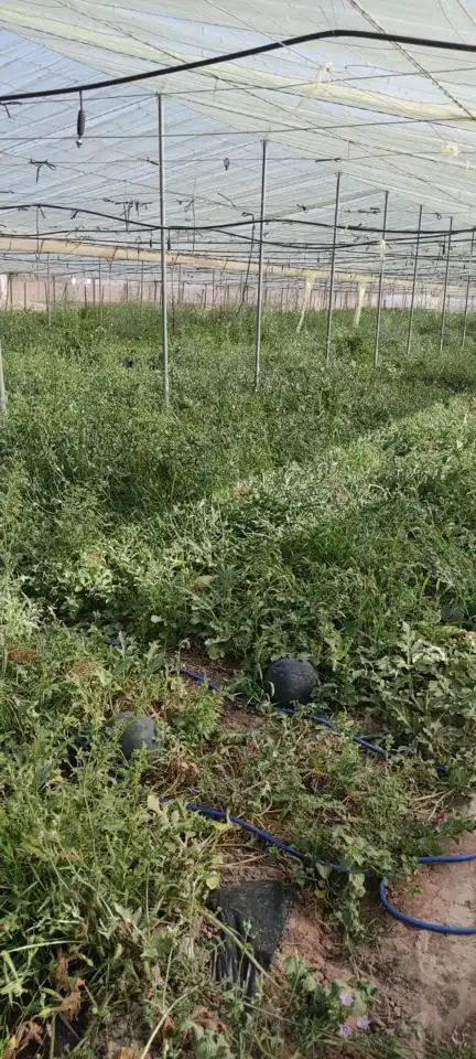 Terreni e lotti in vendita a De La Galera, imagen 6