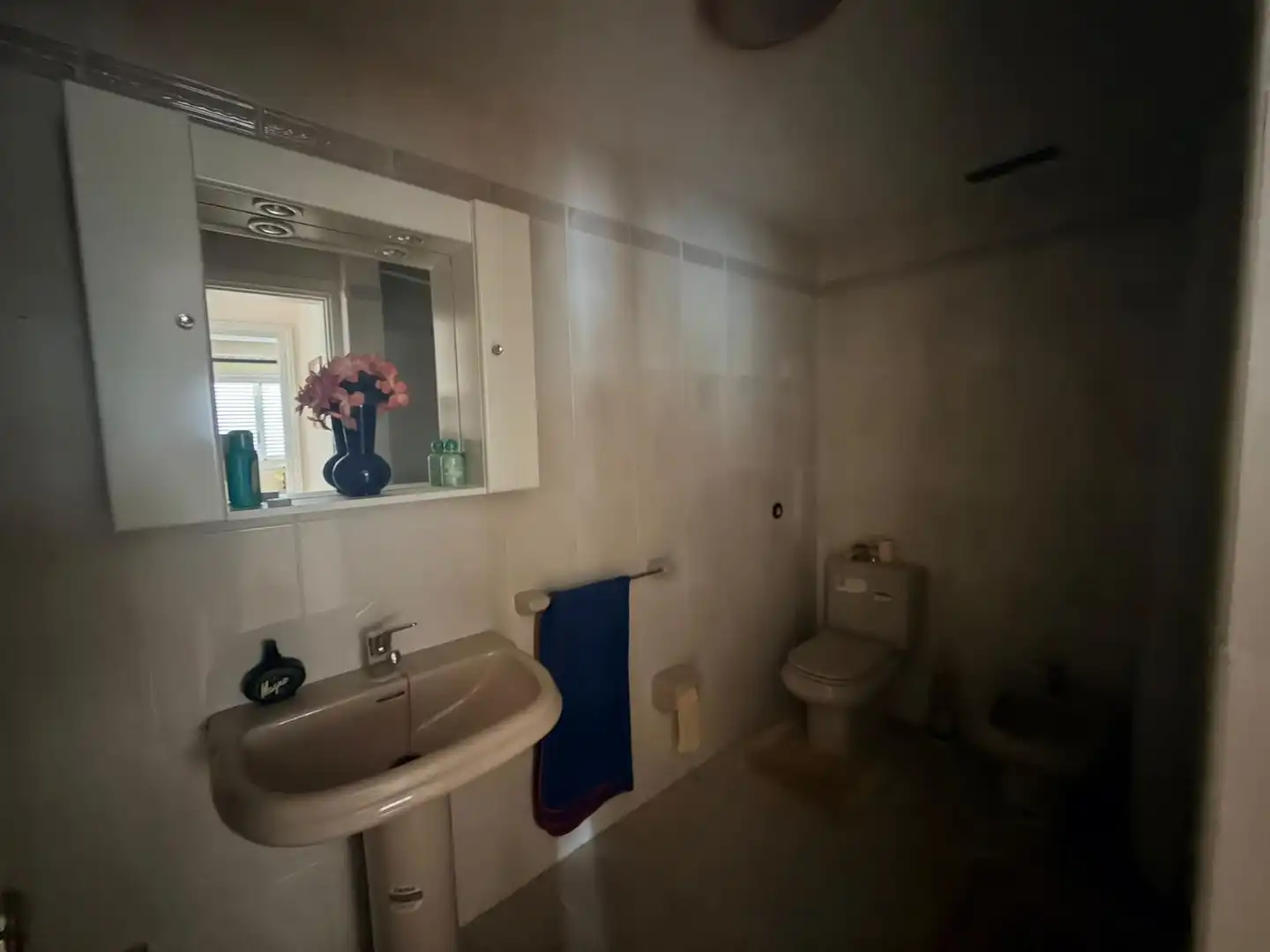 Badezimmer von Wohnung zur Miete in Candelaria mit Möbliert, Ofen und Waschmaschine