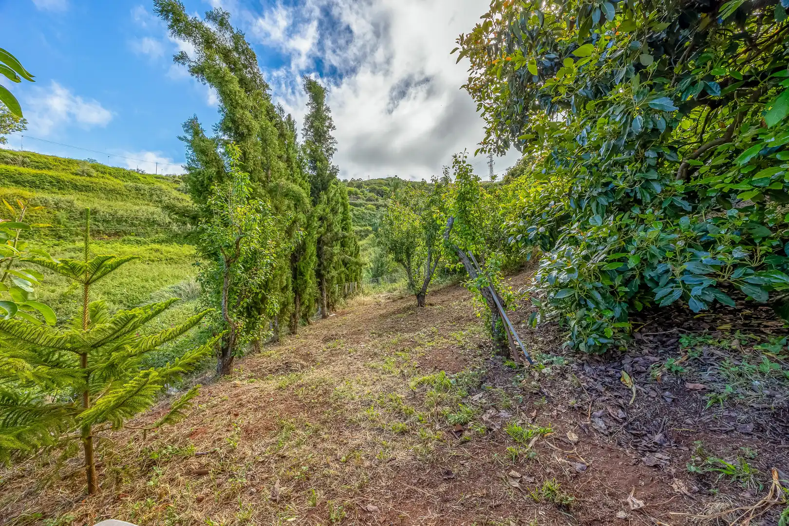 Houses for sale in Santa María de Guía de Gran Canaria  with Private garden, Terrace and Storage room