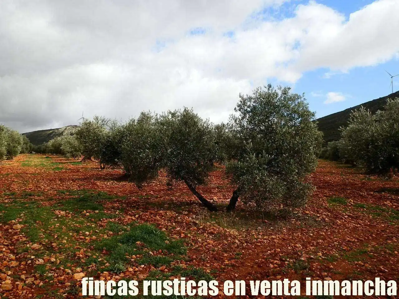 Rural land for sale in Valdepeñas, imagen 15