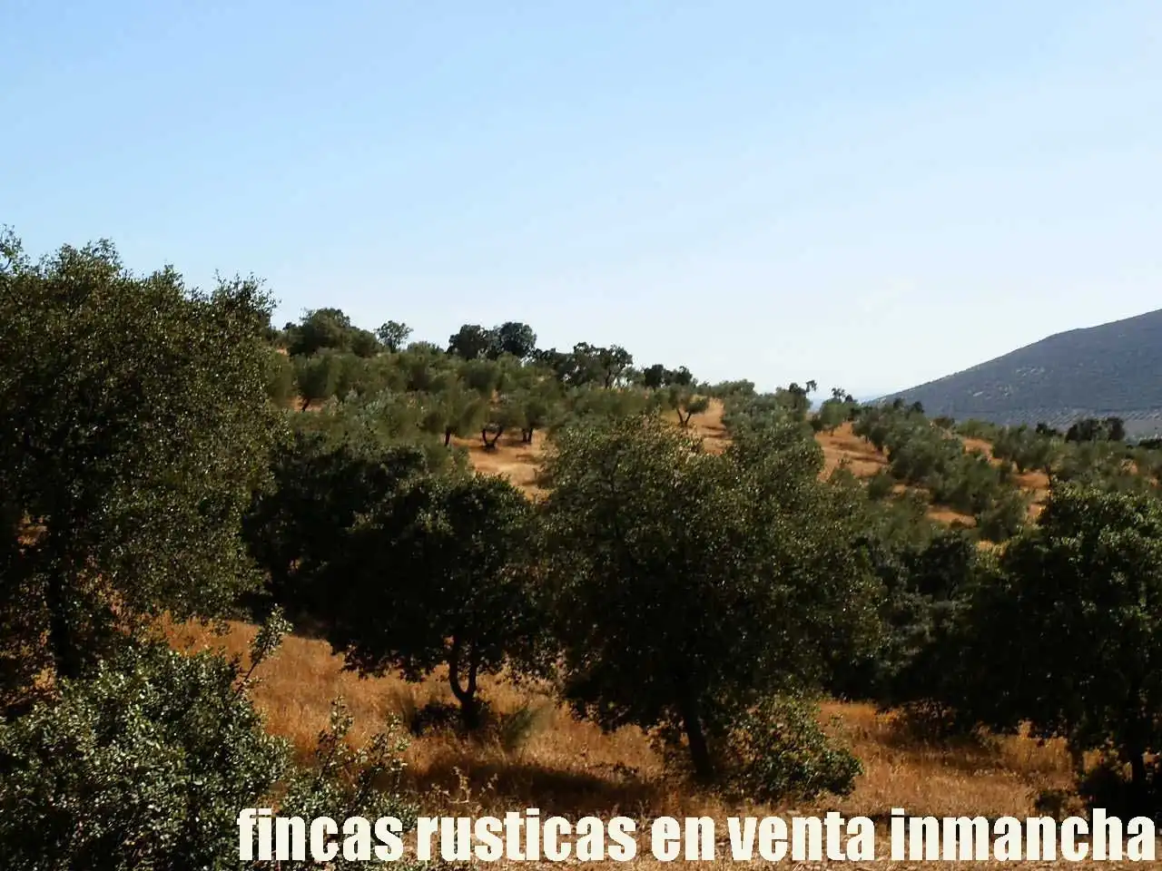 Terreny rústic en venda a Fuente el Fresno, imagen 16
