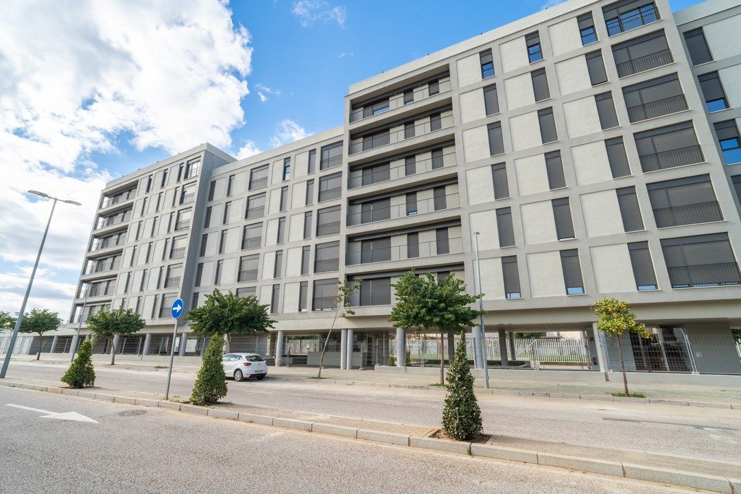 Flat to rent in DEL FLAMENCO, Bellavista