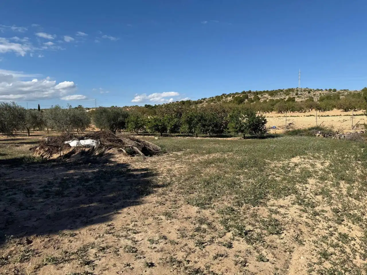 Finca rústica en venta en Elche / Elx con Terraza y Amueblado