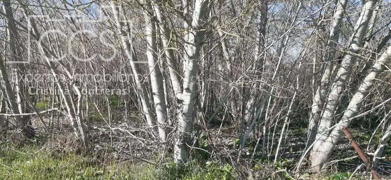 Terreni e lotti in vendita a Almonte ciudad, imagen 6