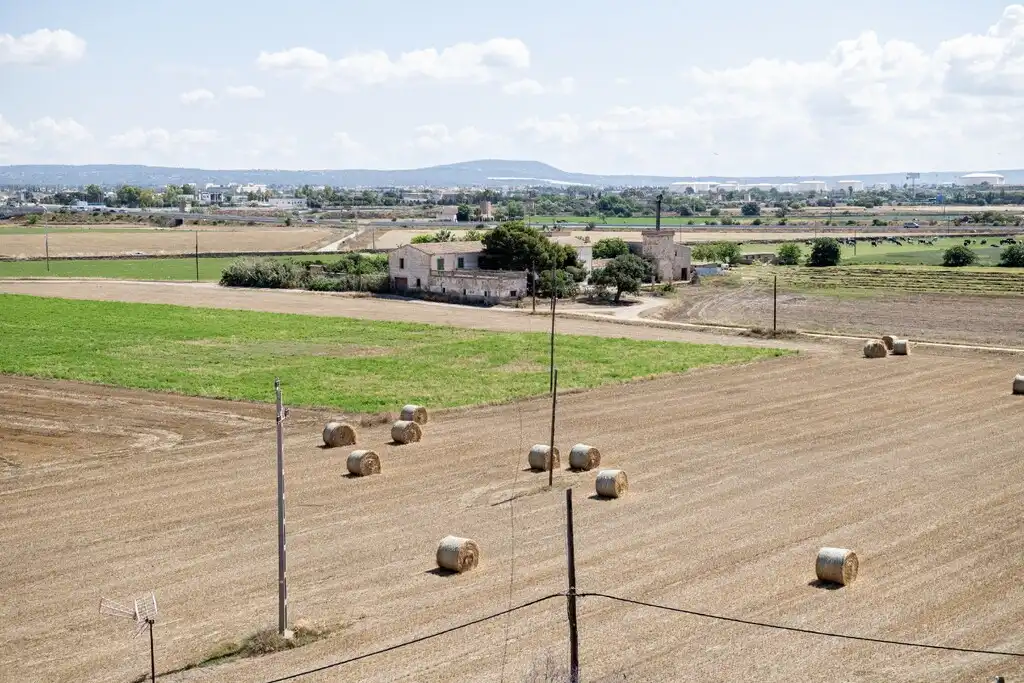Ático en venta en Platja de Palma, imagen 23
