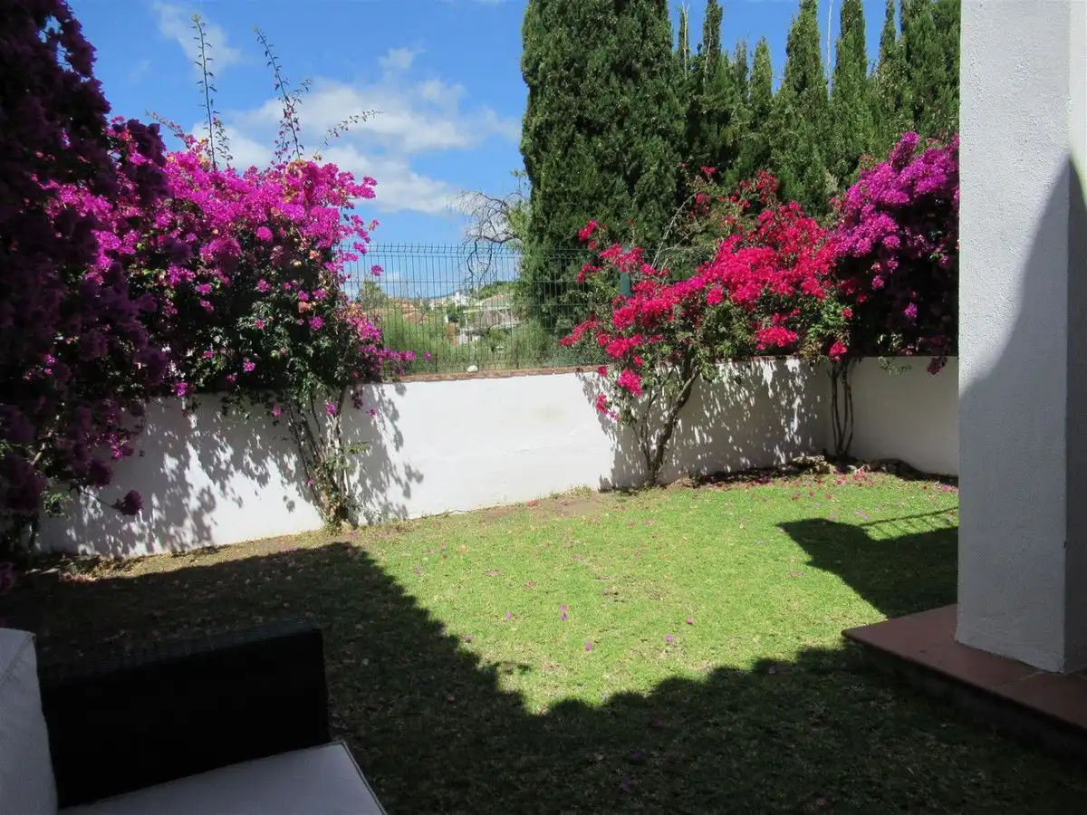 Detached homes for rent in Guadalmina Alta