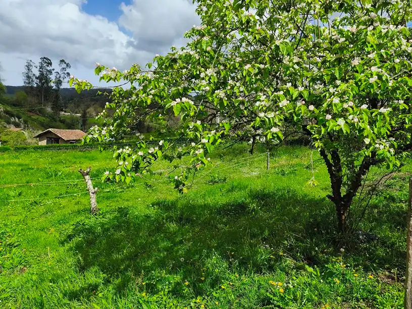 Terreno residencial en venta en Aldea Ferreras 24