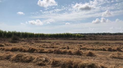 Photo 3 of Residential for sale in Polígono Poligono 4, 74, Noroeste, Santa Pola