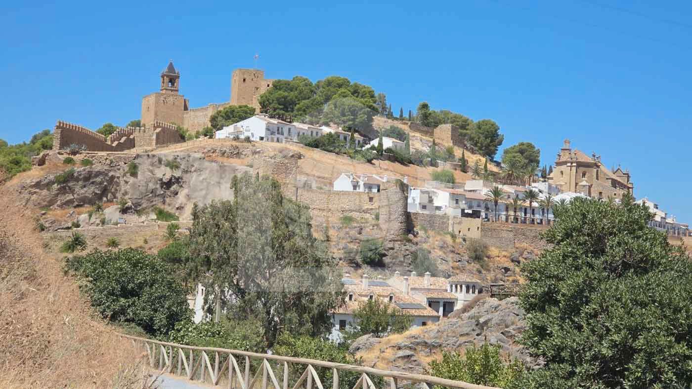 Vista exterior de Finca rústica en venda en Antequera