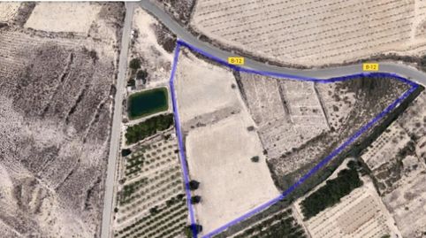 Foto 5 de Finca rústica en venta en Villanueva del Río Segura, Murcia