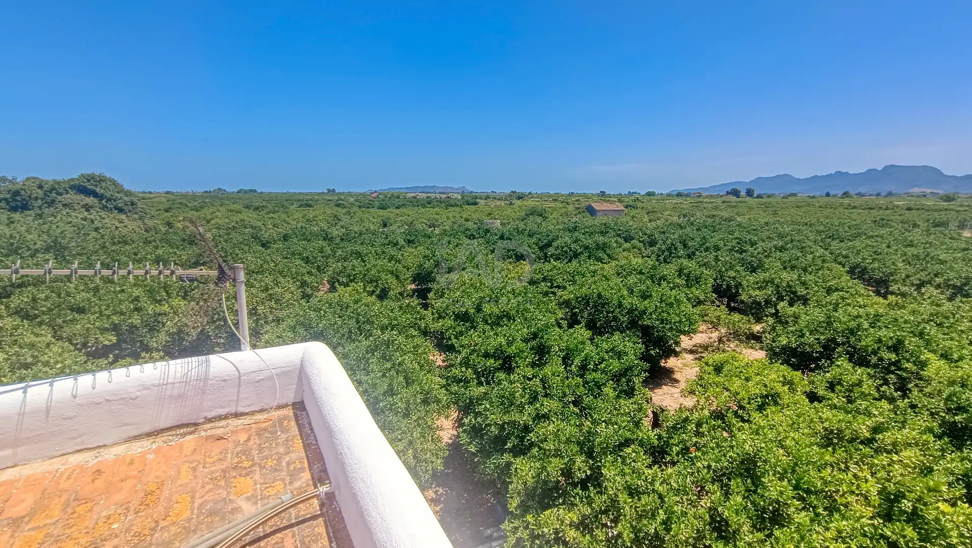Casa o chalet en venta en Albalat de la Ribera con Calefacción y Terraza