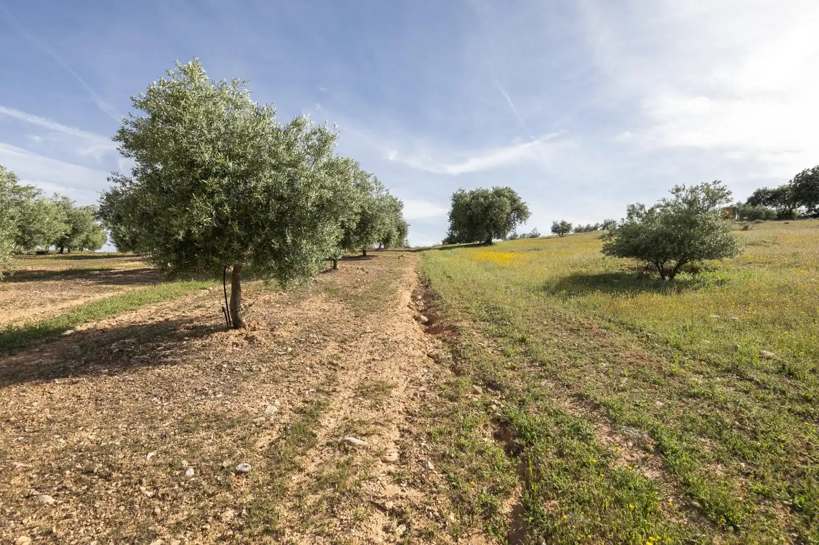 Rustikales Grundstück zum Verkauf in 37°17'19.0"N 3°36'36.8"W, imagen 7