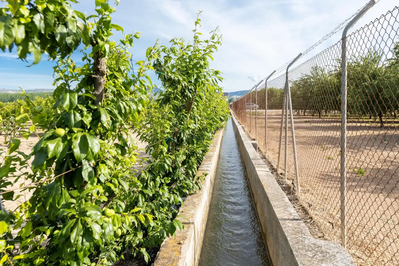 Casa rústica en venda a Pinos Puente, imagen 13