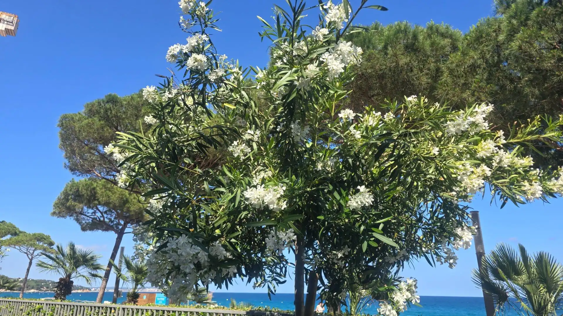 Dúplex amb piscina en venda a Platja d'Aro, imagen 14