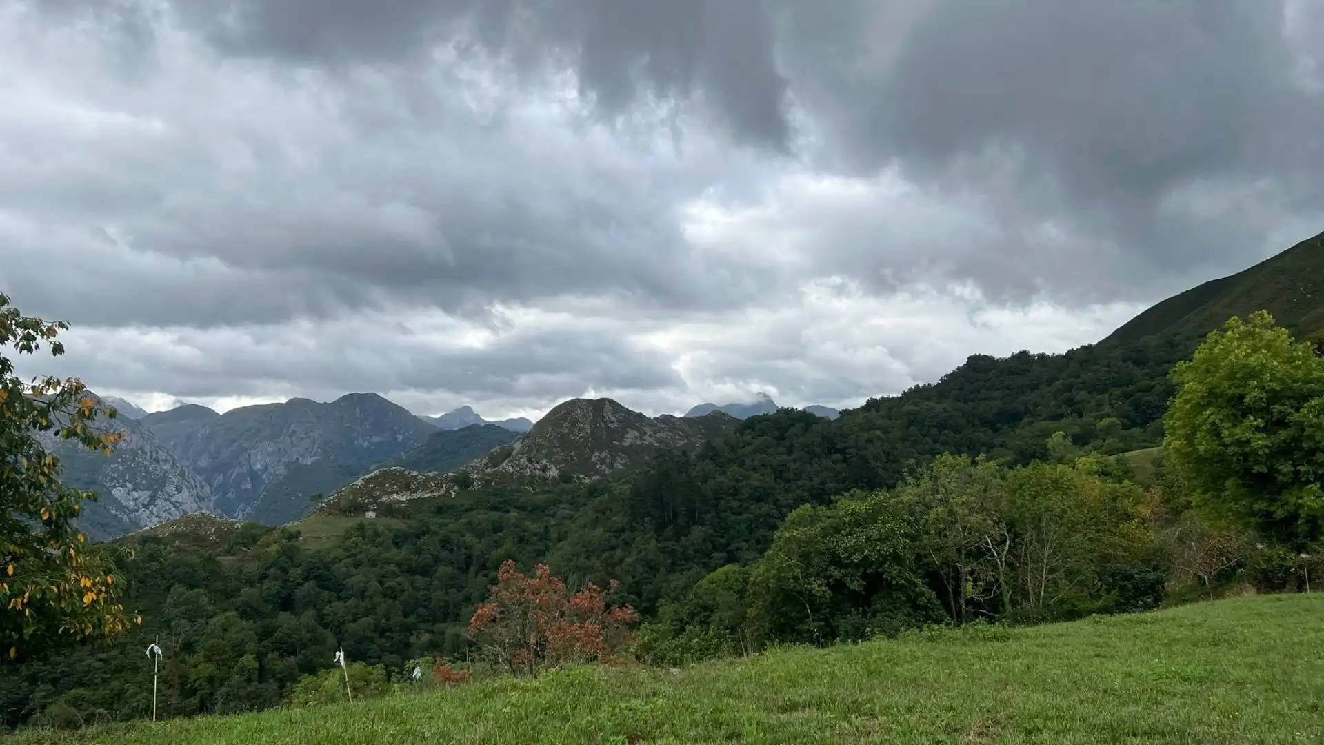Terrenos y solares en venta en Parres, imagen 5