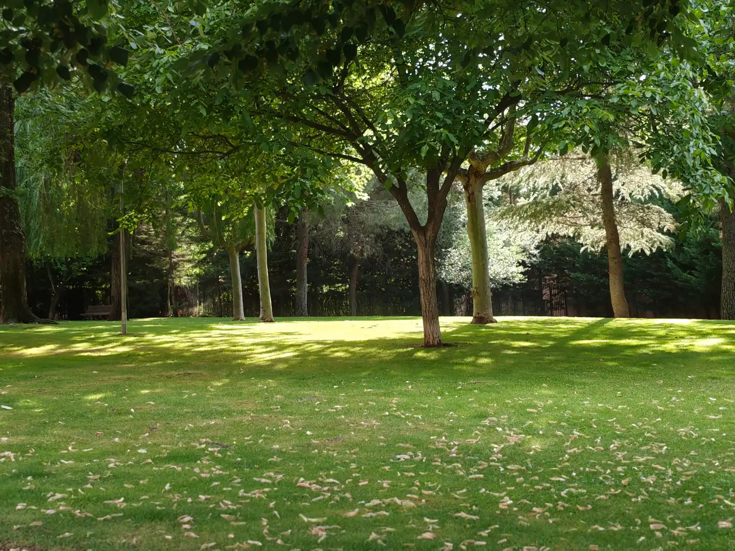 Jardí de Pis de lloguer en Majadahonda amb Aire condicionat, Calefacció i Parquet
