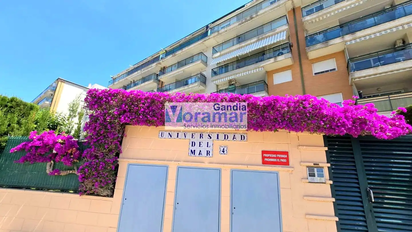 Apartament de lloguer a Oltra, 17, Playa de Gandia