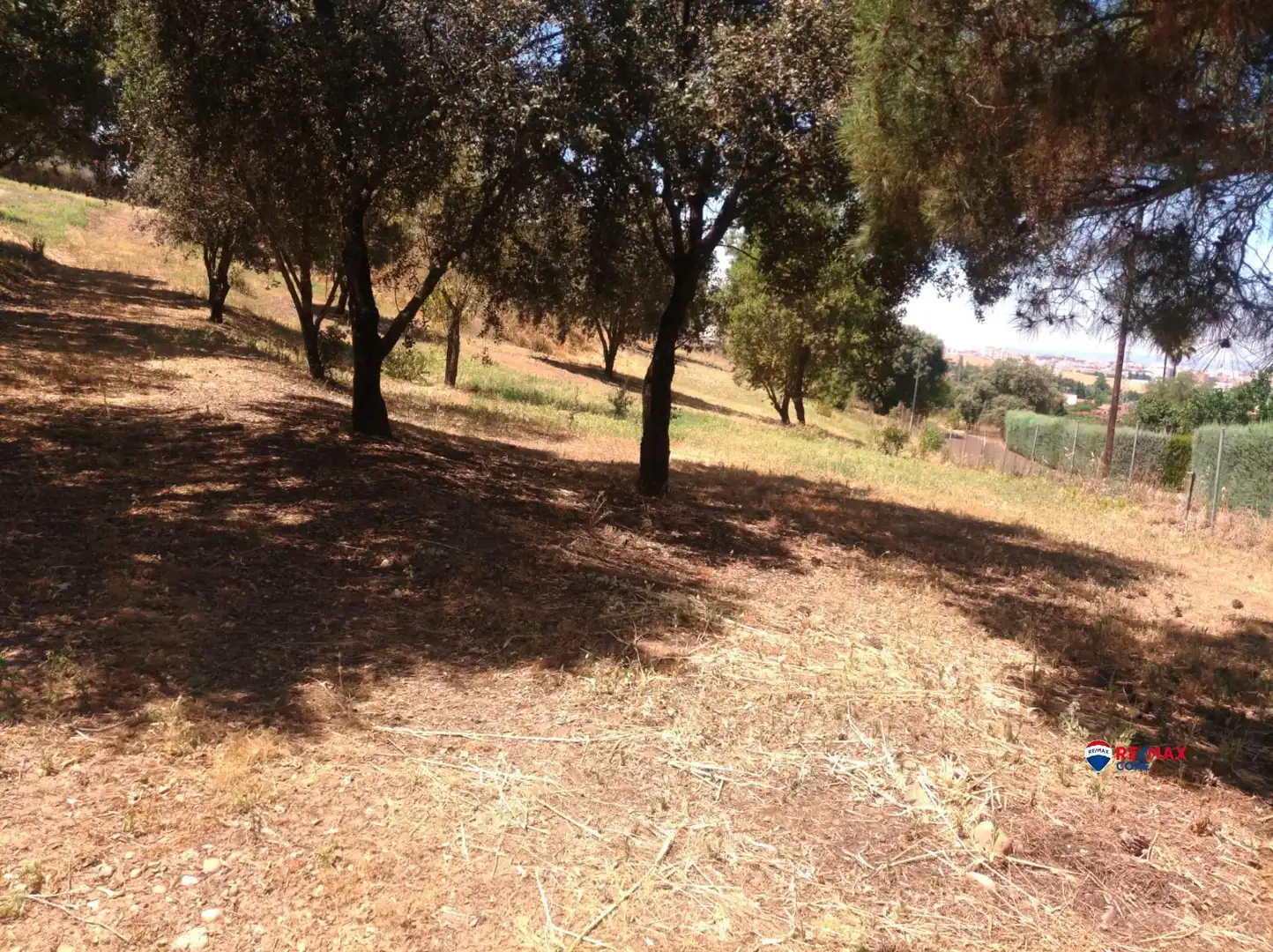Terreno residencial en venta en Carretera de Sevilla - Los Montitos, imagen 9