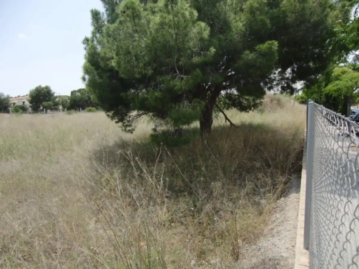 Terreno residenziale in vendita a Calle ERMITA NOVA, imagen 12
