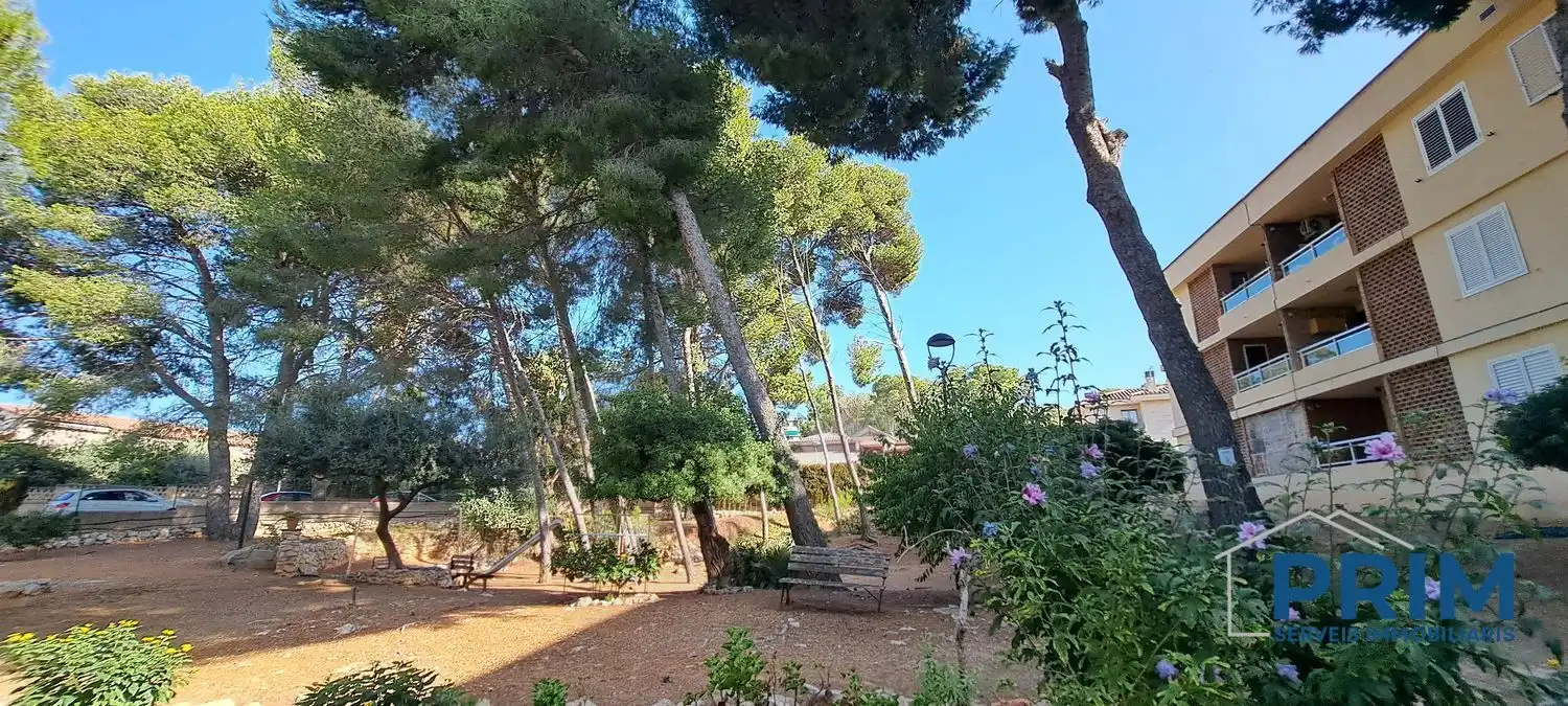 Appartement avec ascenseur à vendre à Calle del Pla de l'Era, imagen 9